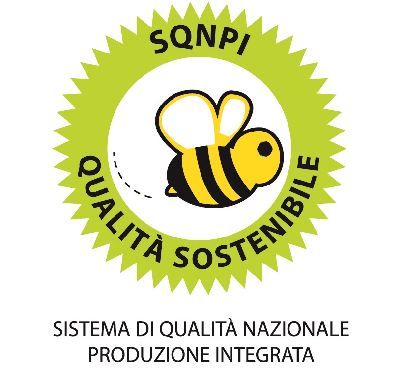 Certificato Qualità Sostenibile