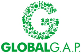 Certificazione Global Gap