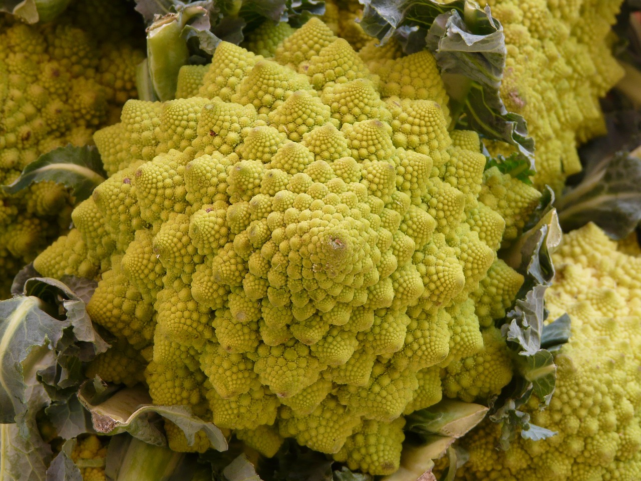 cavolo romanesco - la preferita