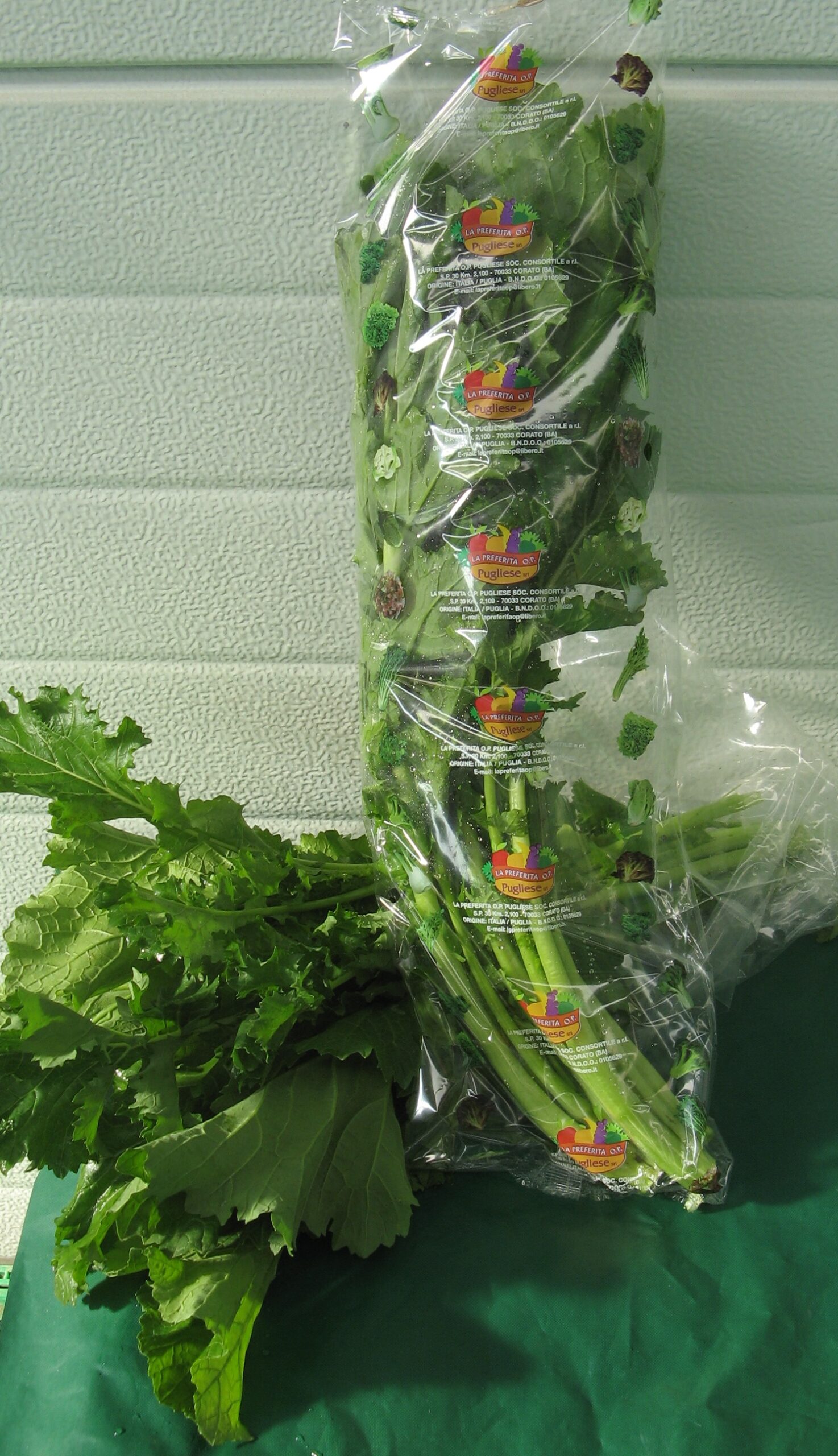 cima rapa