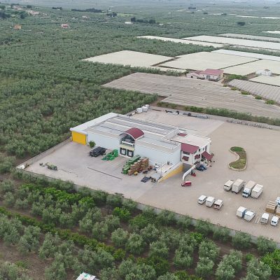Veduta dall'alto dell'azienda agricola "La Preferita OP"